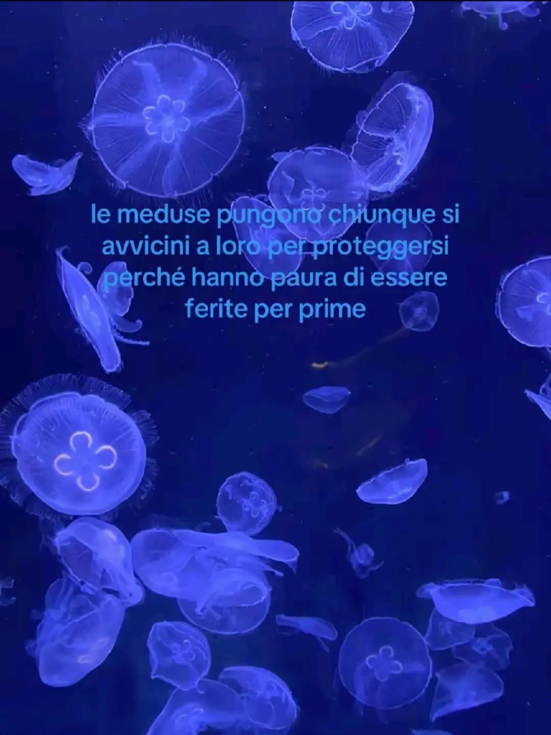 @❣️🪬