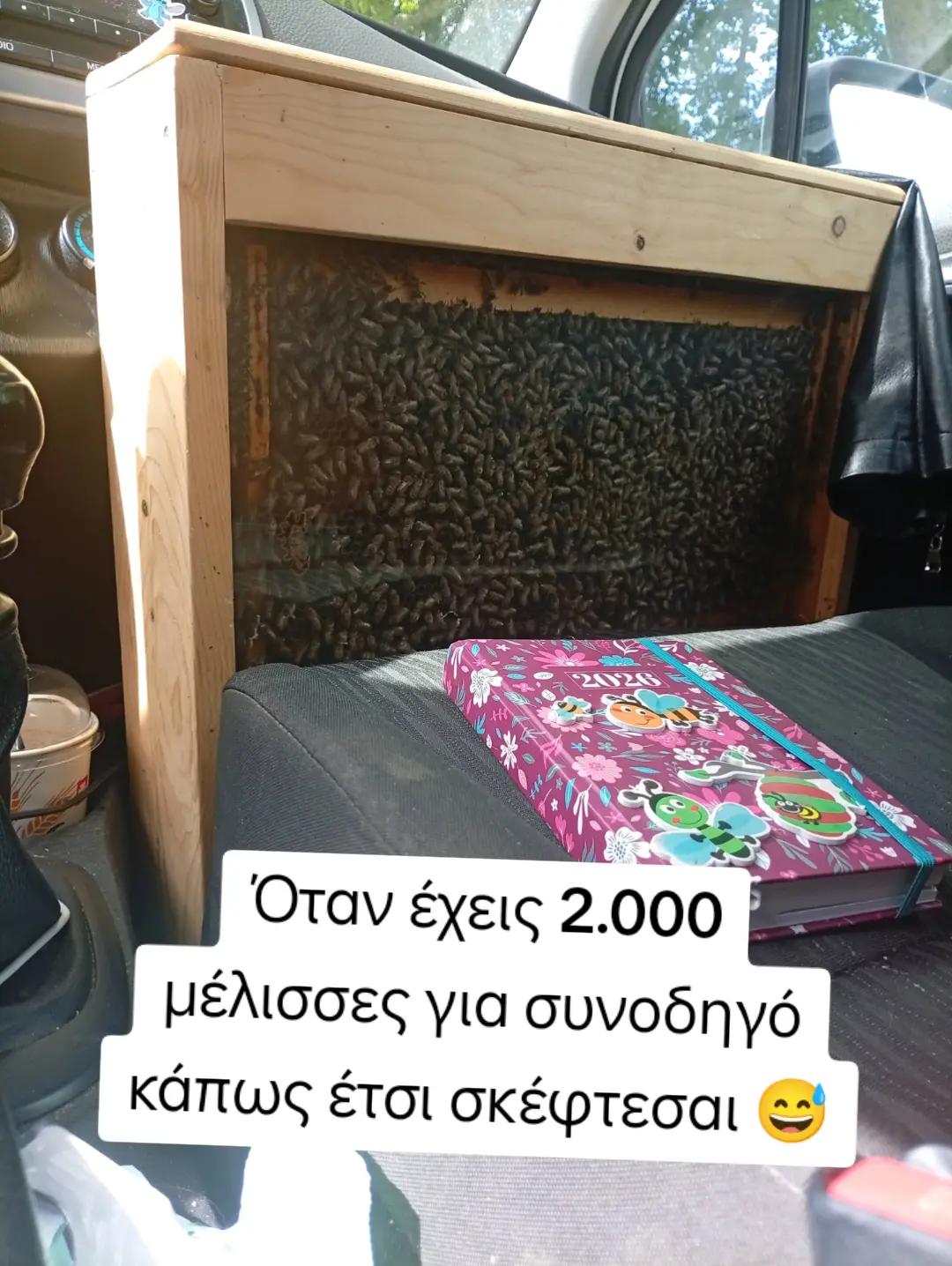 @Fasianos_bee_products