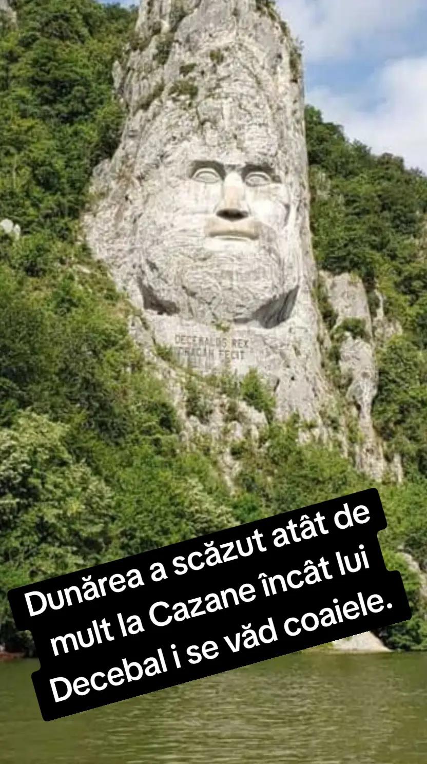 @VaduCrisului.ro