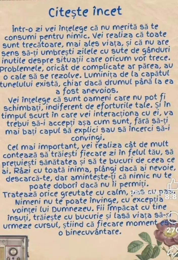 @Bea_Beatrice 🌺🌺