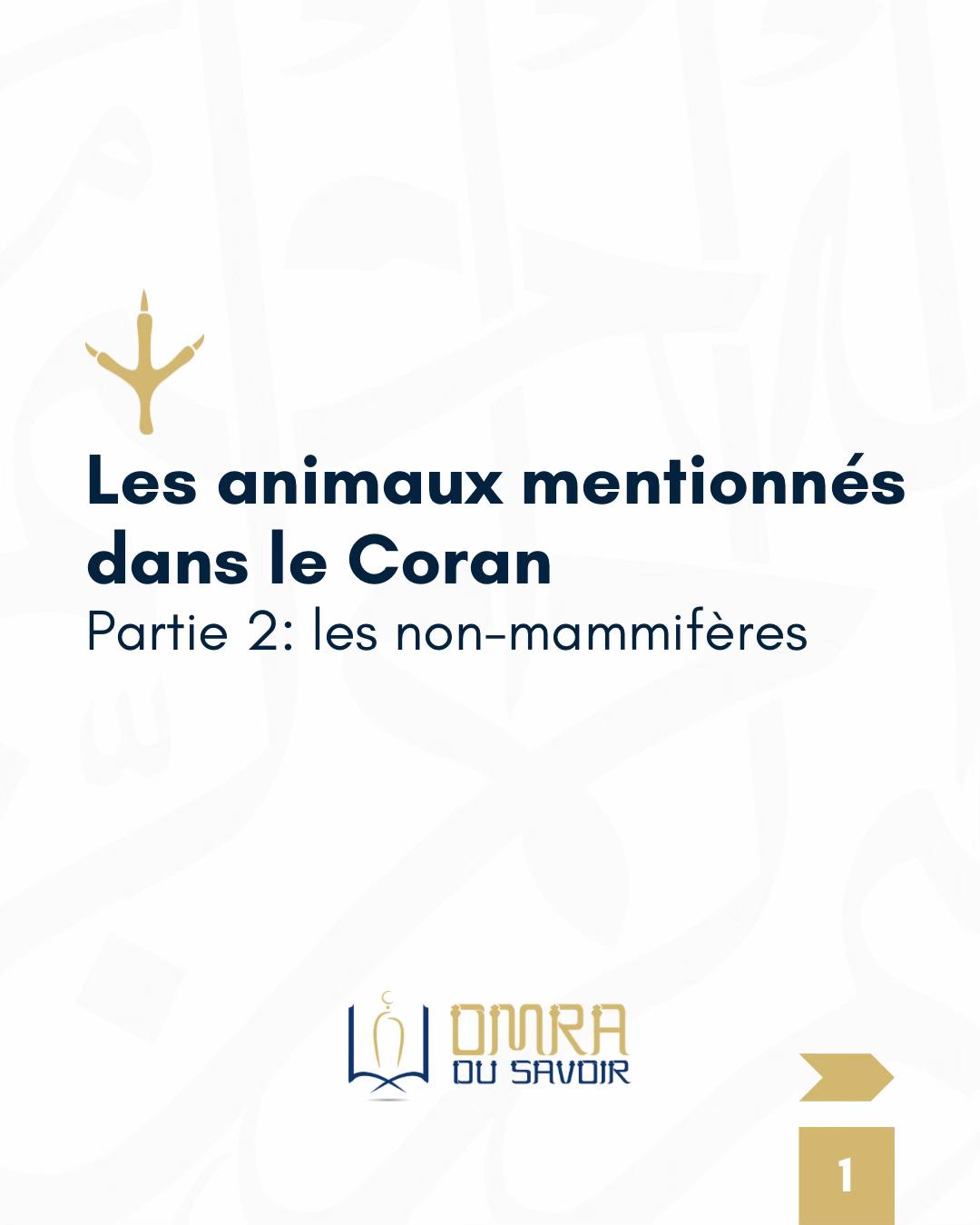 @Omra Du Savoir