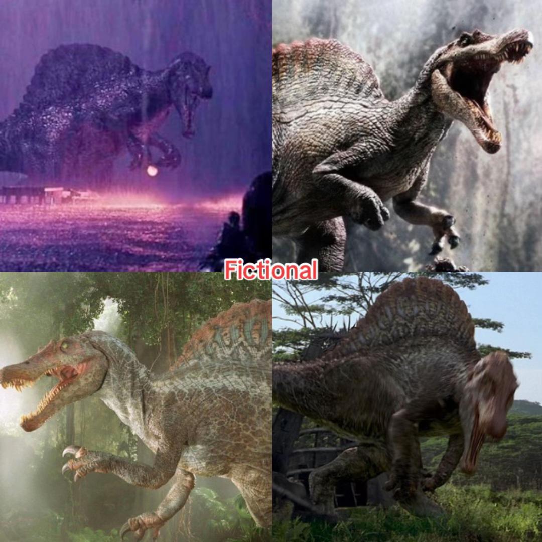 @Jason ☆🦖