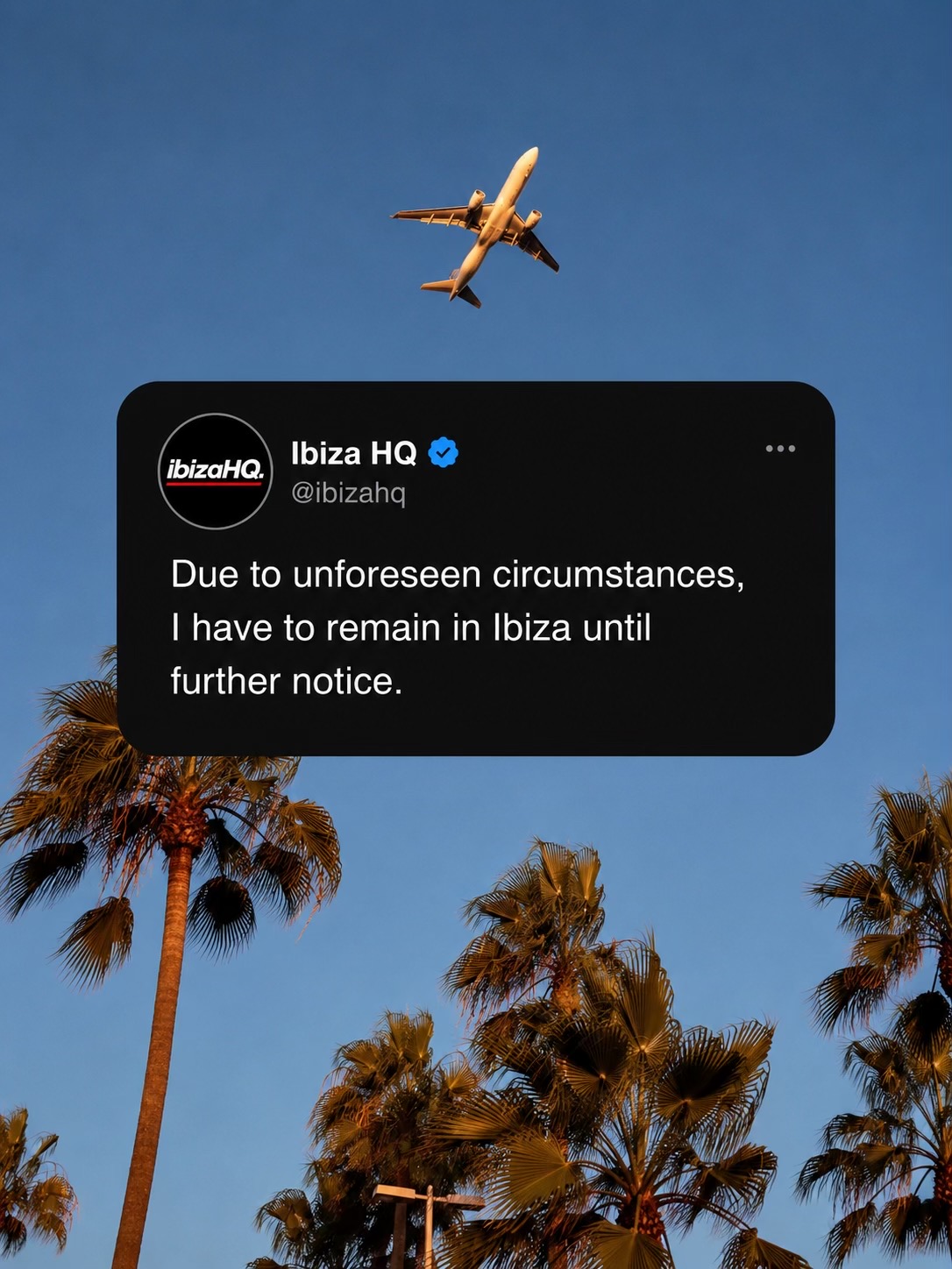 @ibizahq