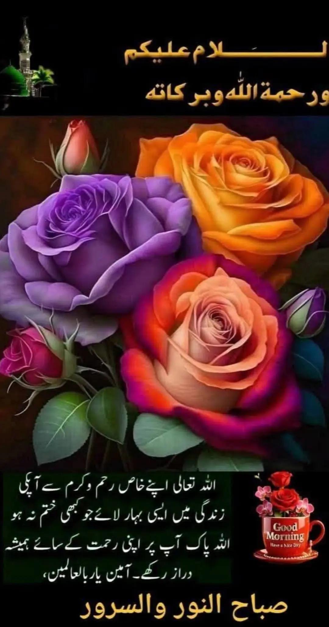 @Zulfiqar Haider