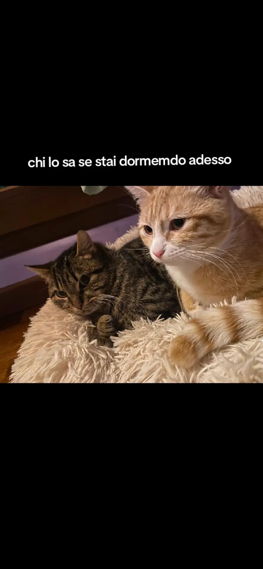 @marta