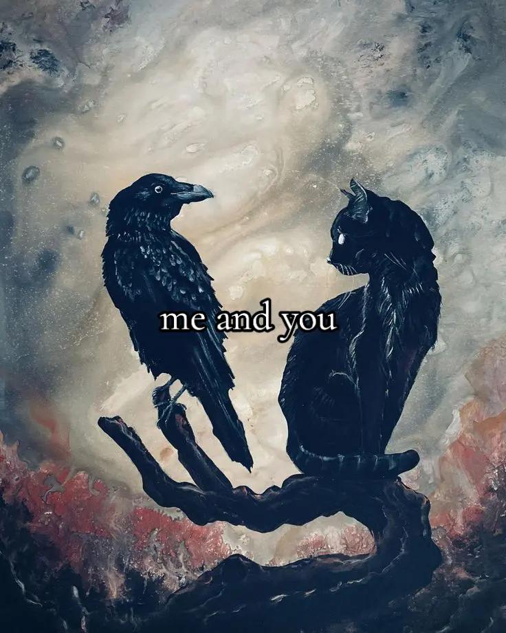 @°•°