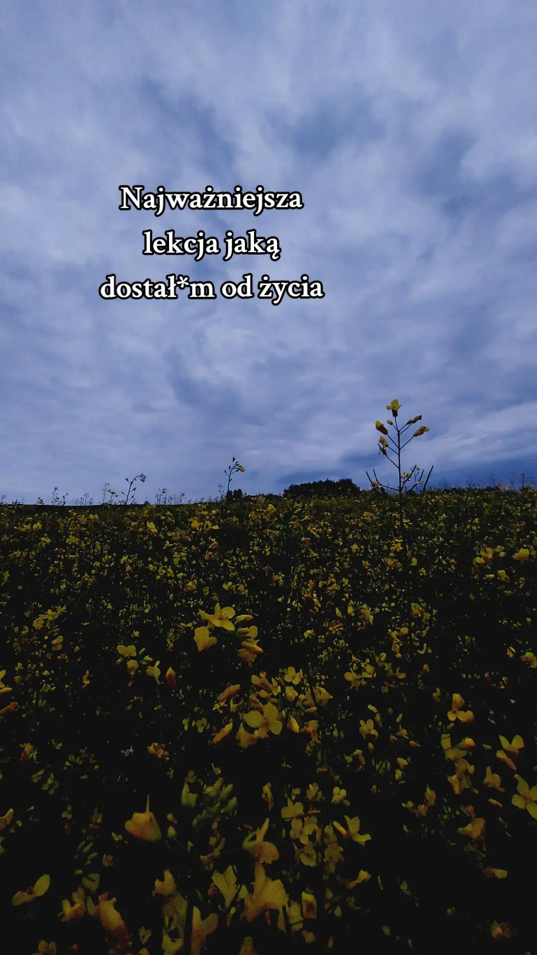 @😶🌫️😢🤍