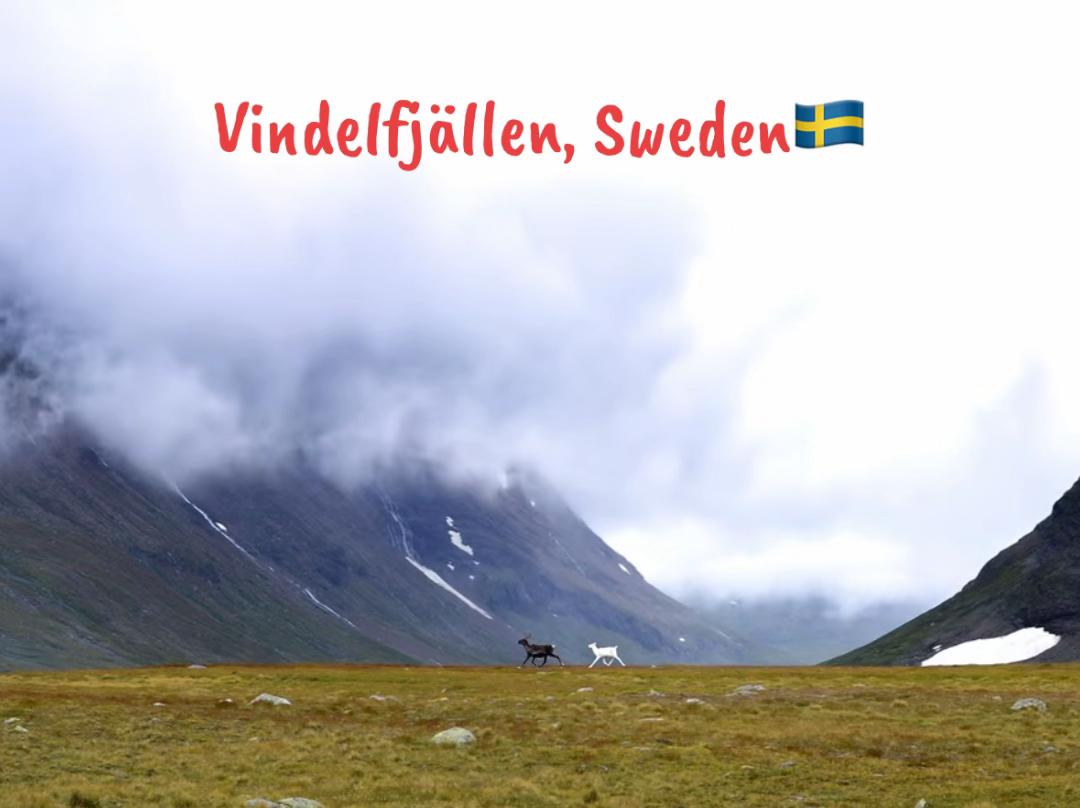 @Svenskherr’n | 🇸🇪
