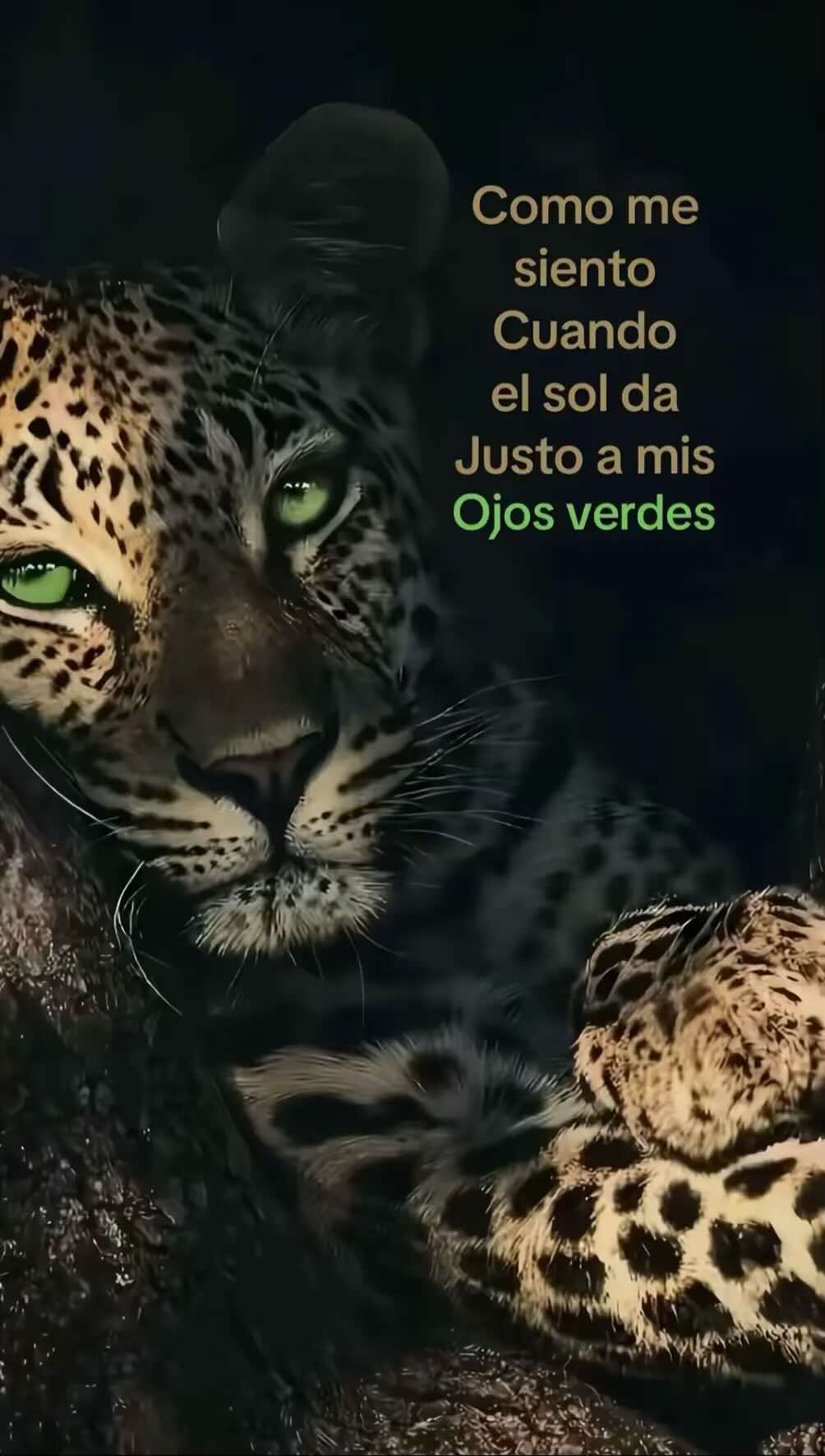 @𝓜