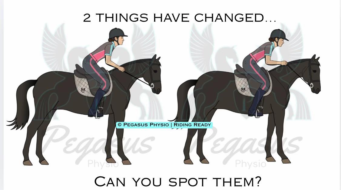 @Pegasus Physio