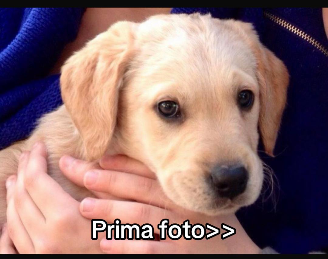 @__ricky__6