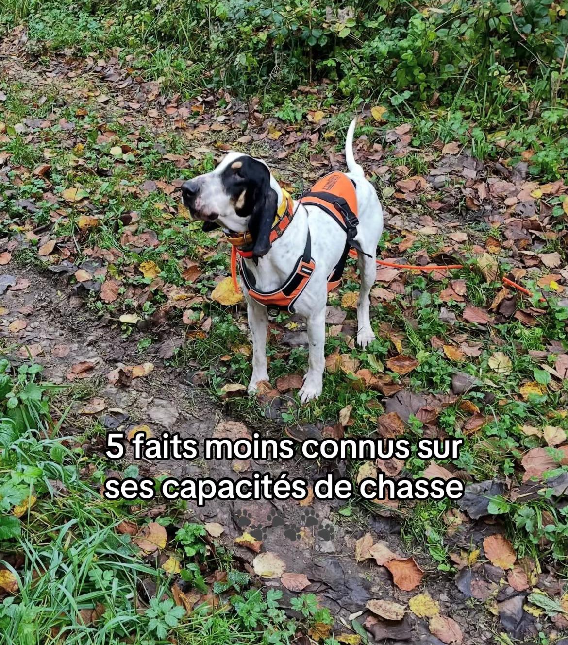 @lachasse_comtoise