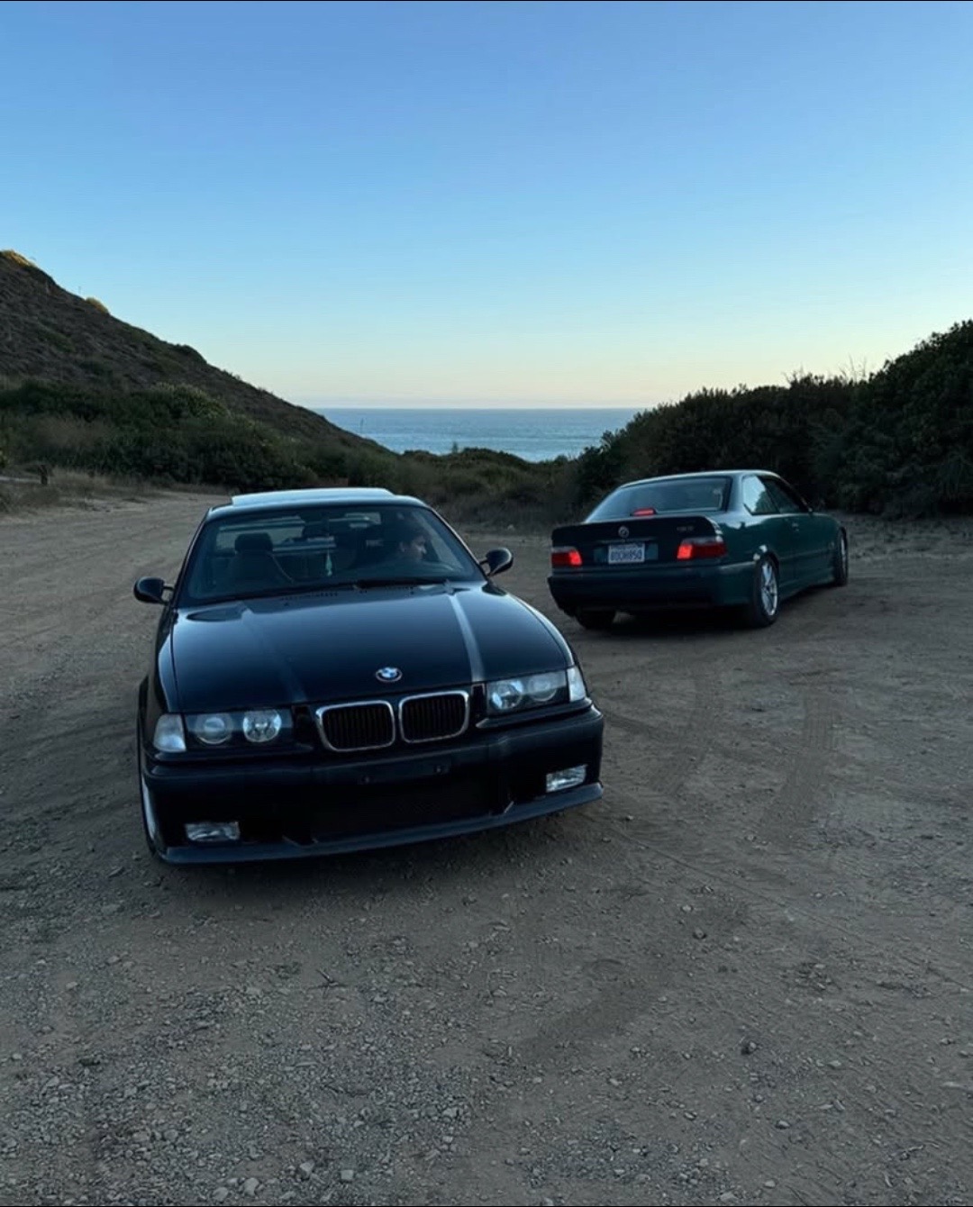 @carnewon