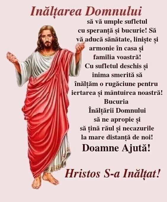 @Mihaela Liliana