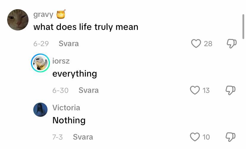 @🐈&zwj;⬛