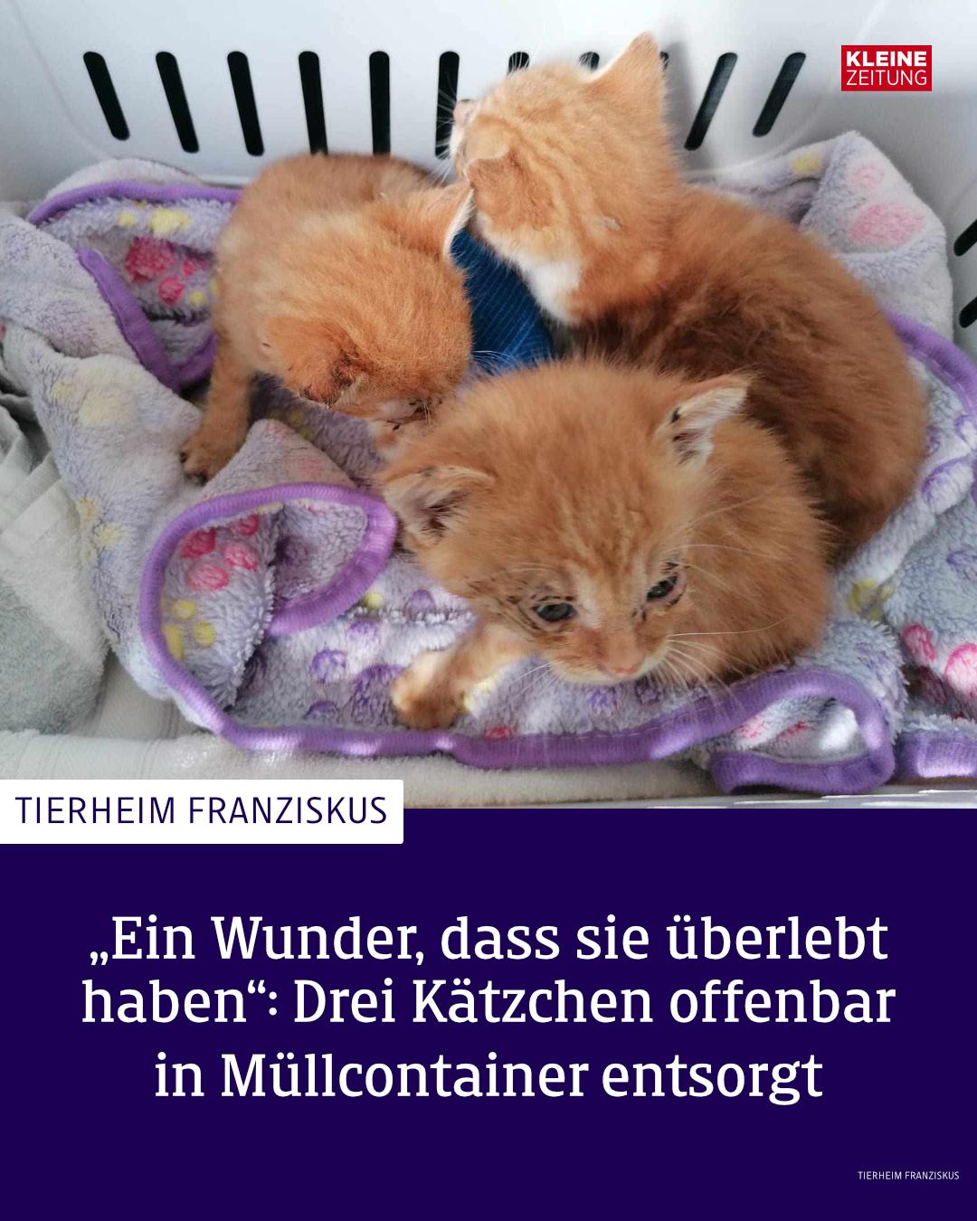 @Kleine Zeitung
