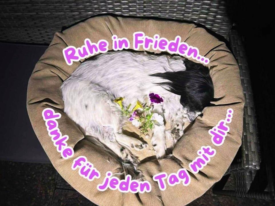 @ToJay tv