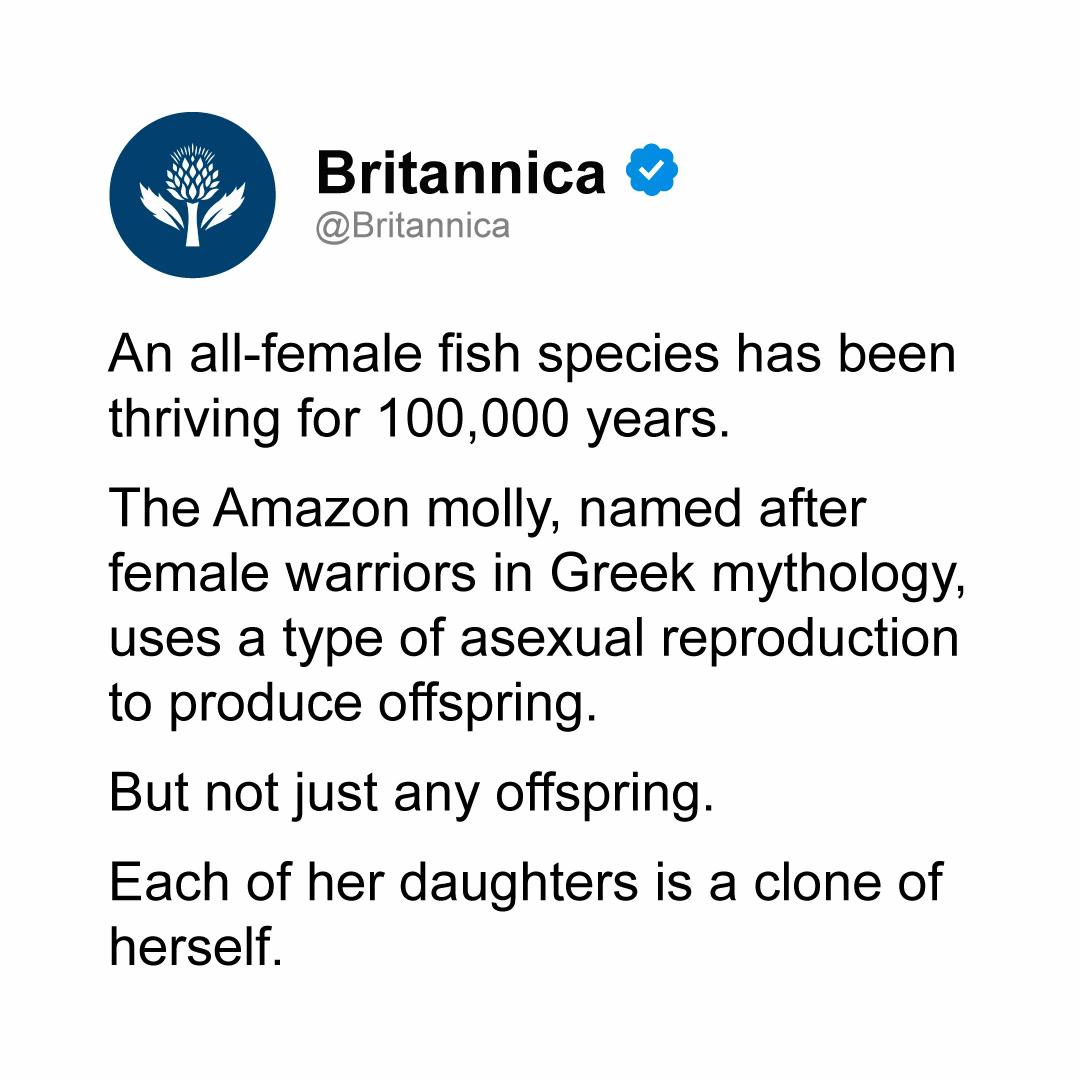 @Encyclopaedia Britannica