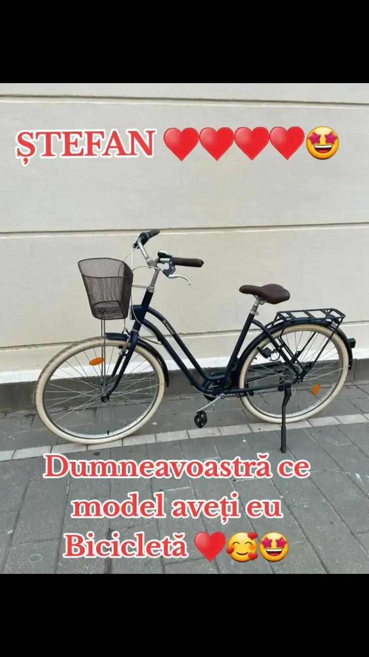 @🔷️🔵ȘTEFAN 🔵🔷️