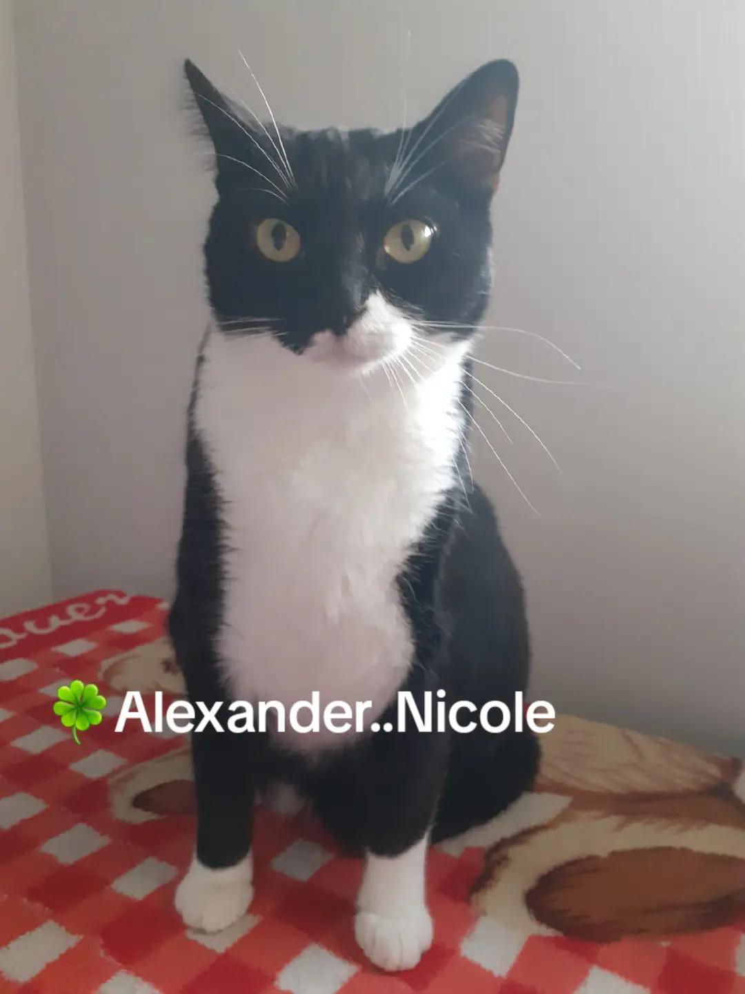 @Alexander..Nicole