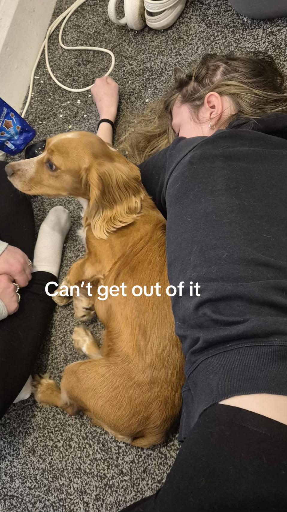 @Macie🤍