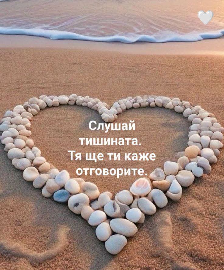 @Ивелина Недкова