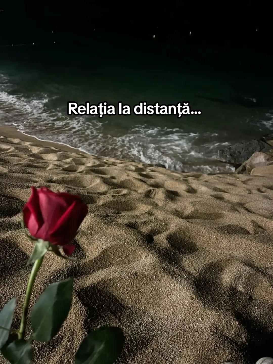 @𝑮𝑰𝑵𝑨&𝑨𝑩𝑬𝑳 𝑴𝑼𝑺𝑰𝑪❤️