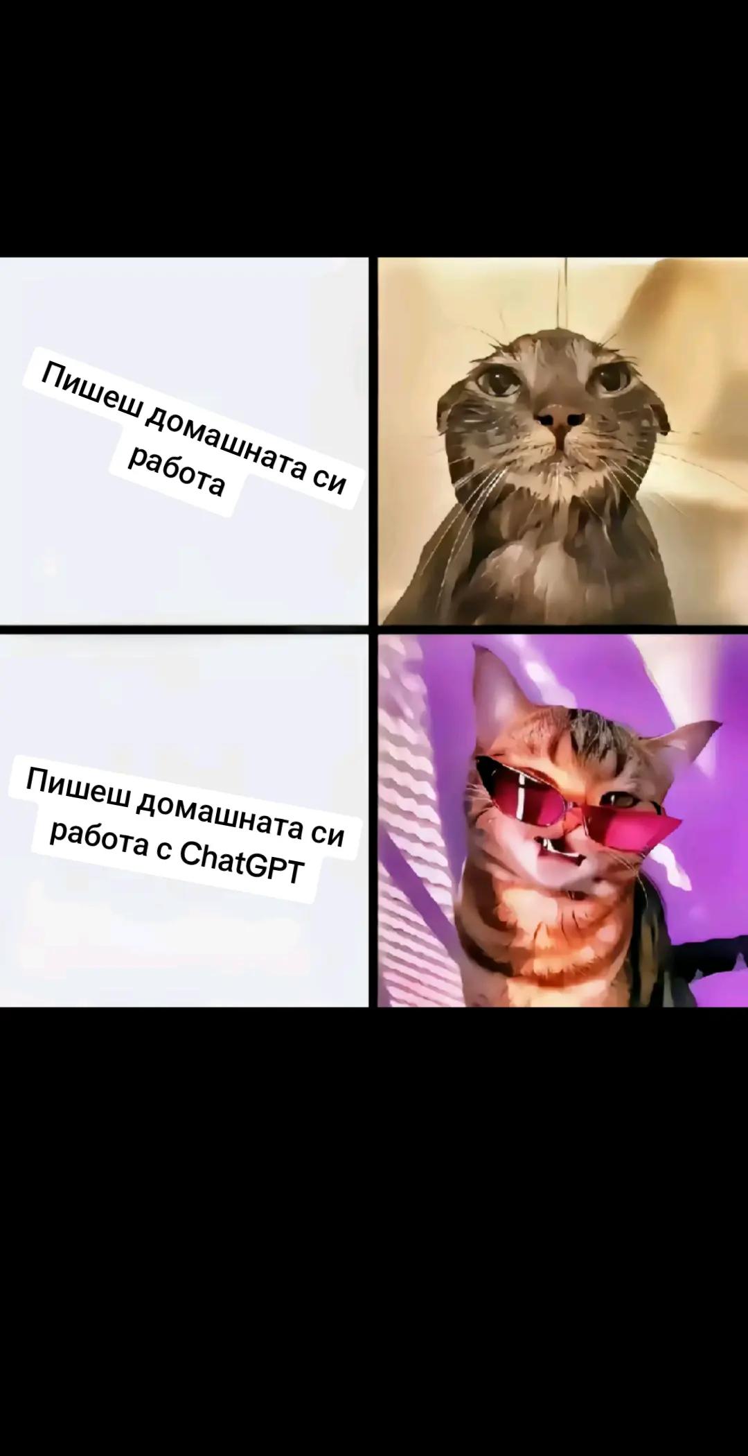 @Ne se seshtam