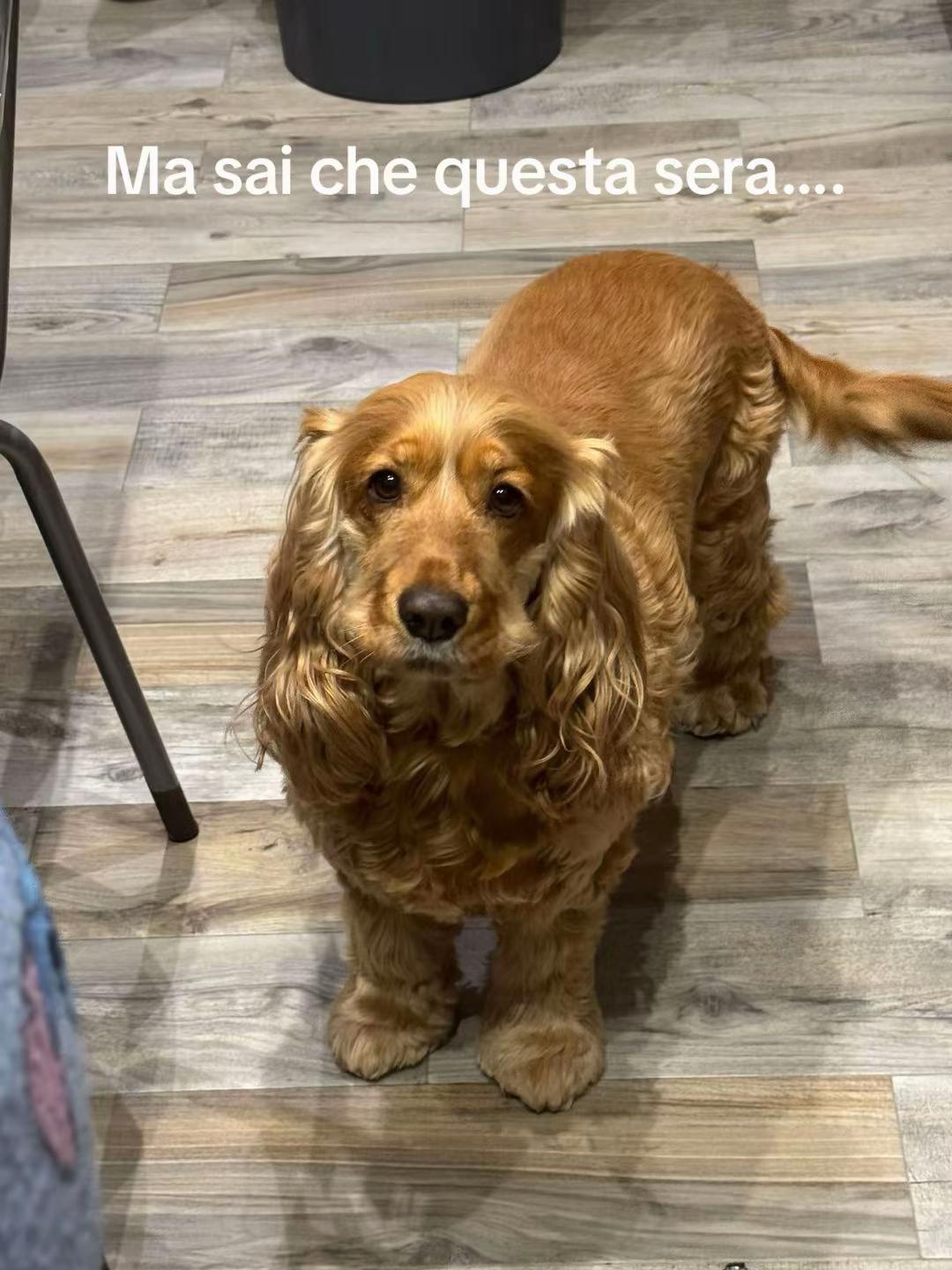 @Alessia.Vallone