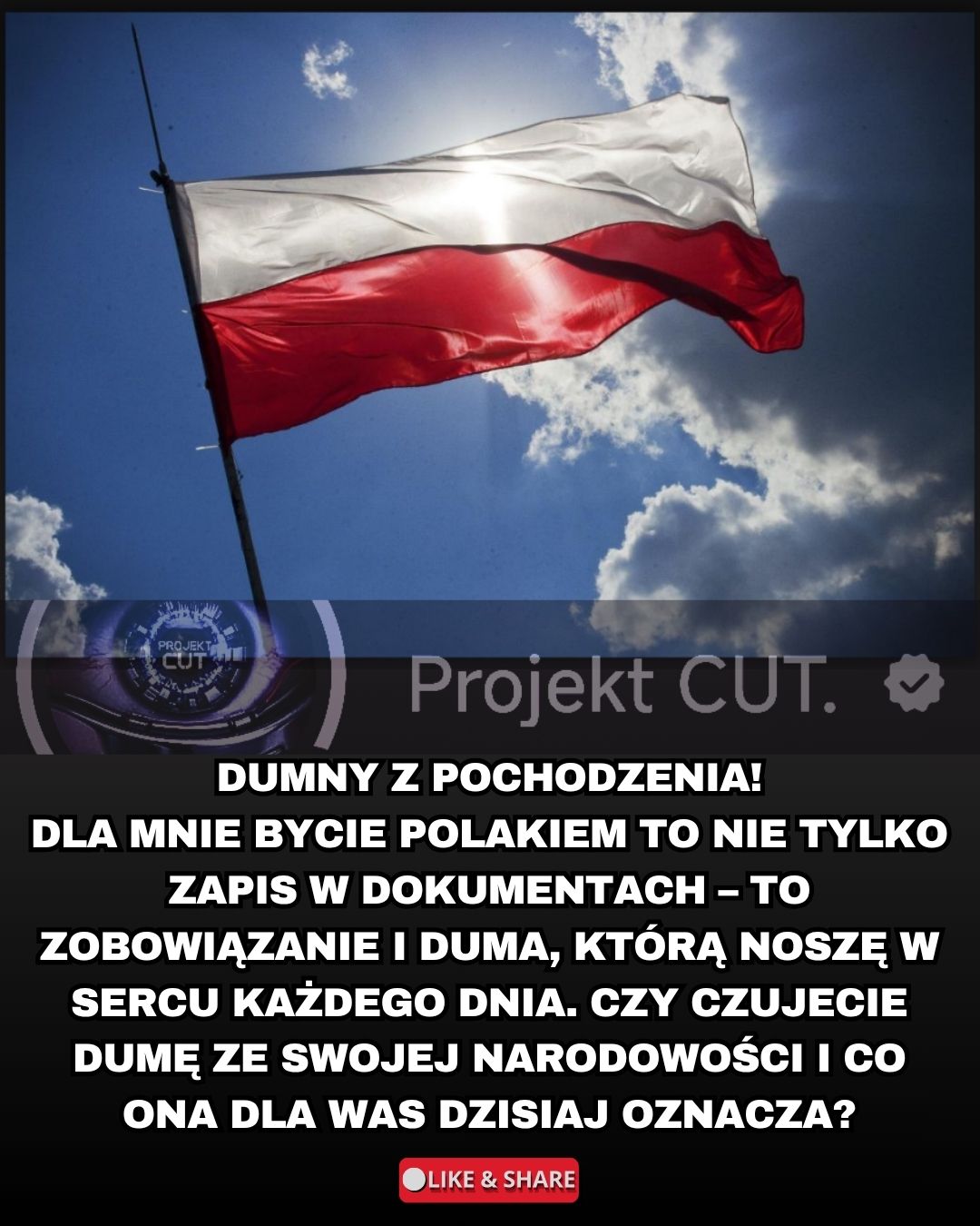 @Projekt CUT.