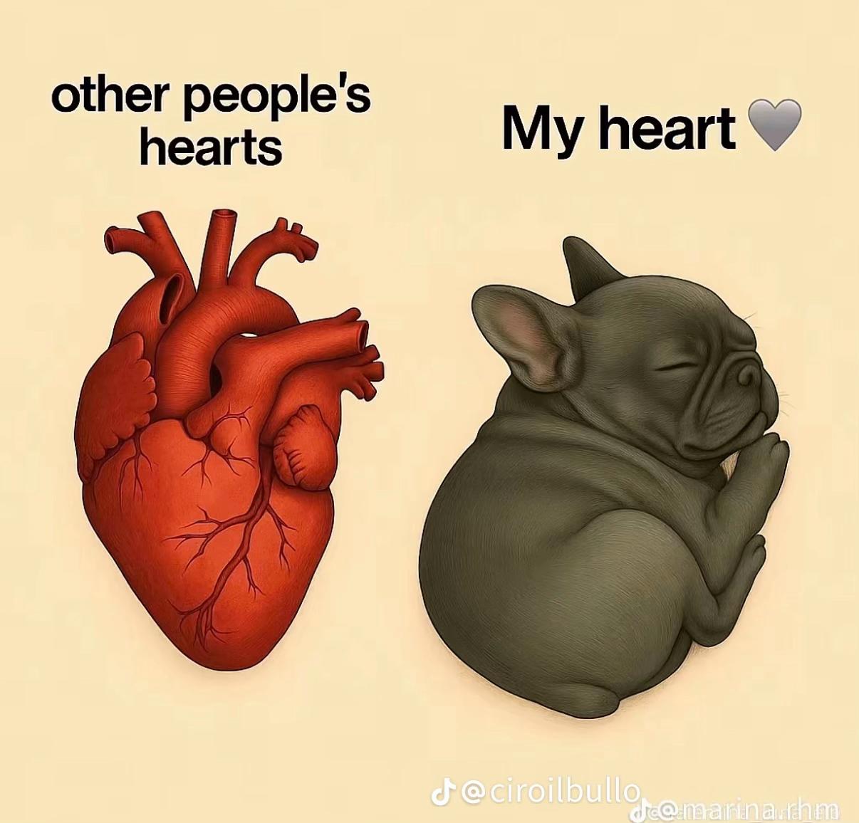 @Lara❣️