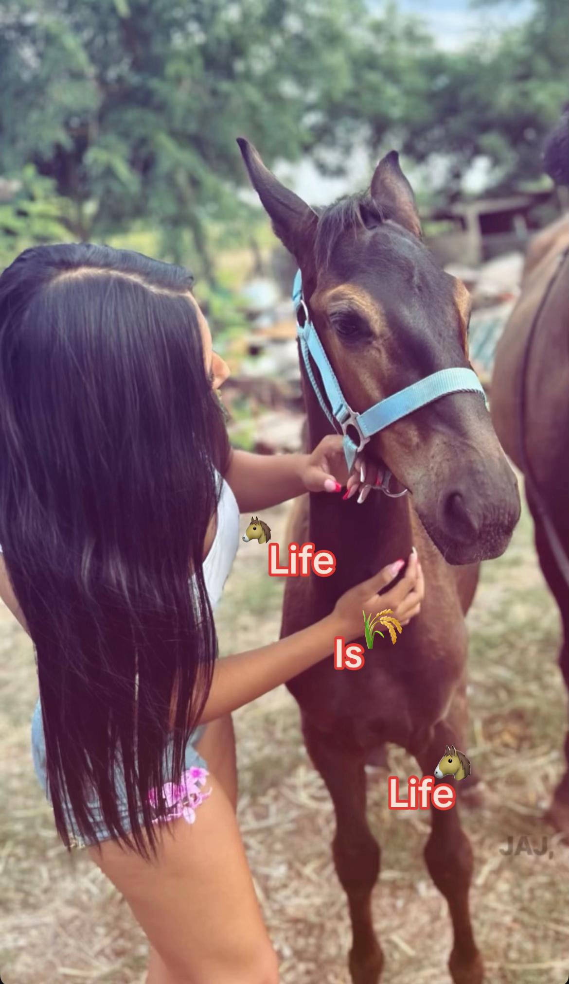 @✨laraorsos✨