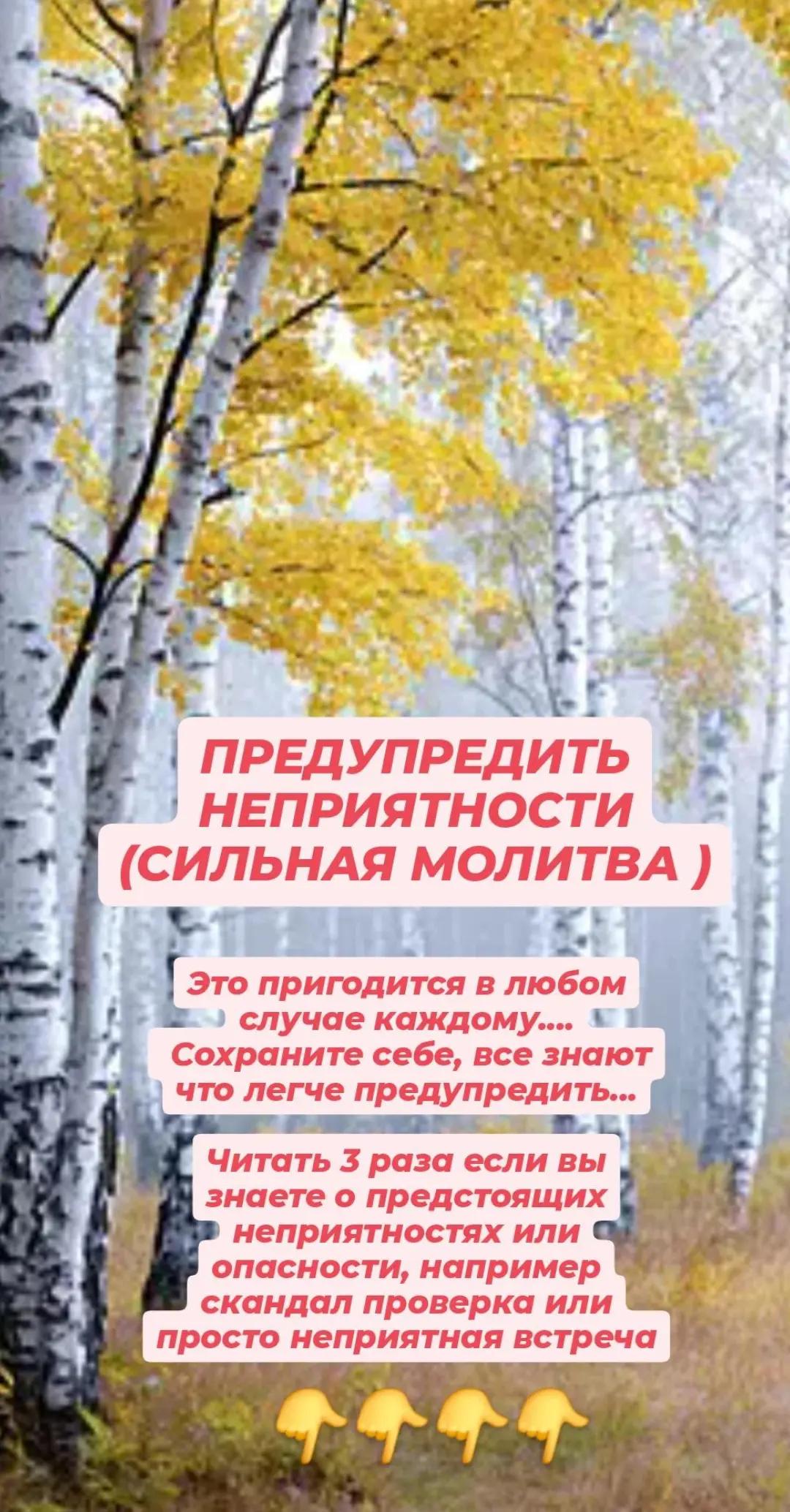 @Тайная Добродетель