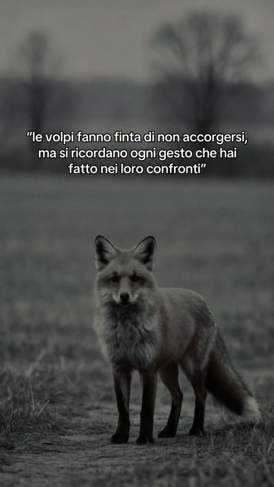@giorgix_0