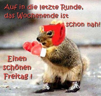 @Christof g 🇩🇪🇩🇪