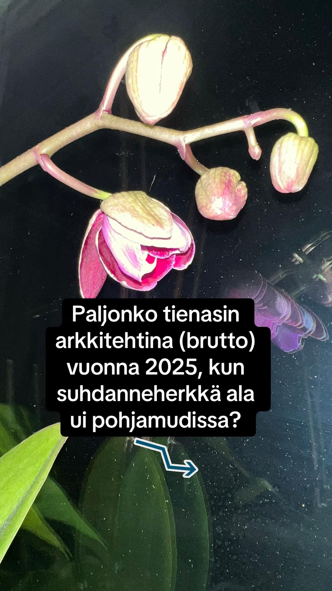 @Mari | yrittäjä ja ARK