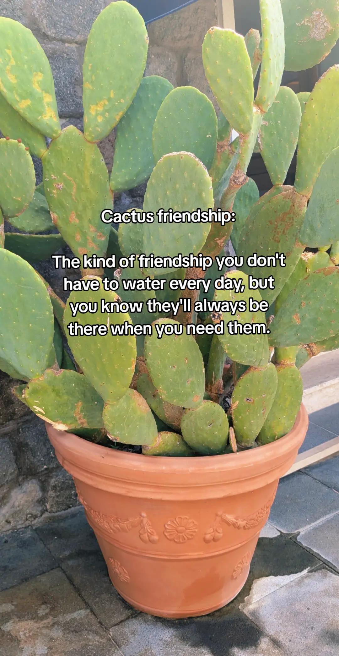 @keline