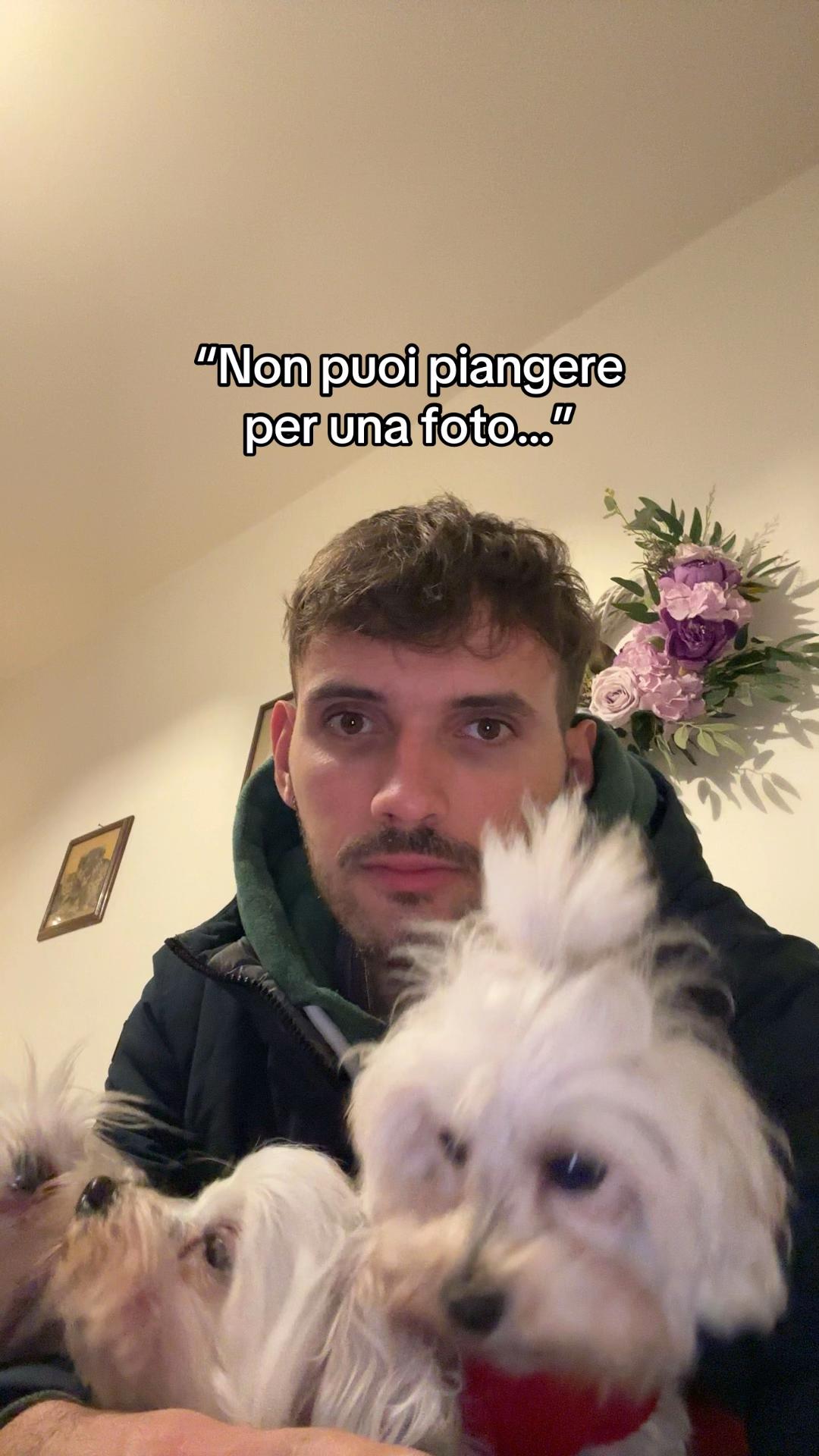 @francescobaccegareal