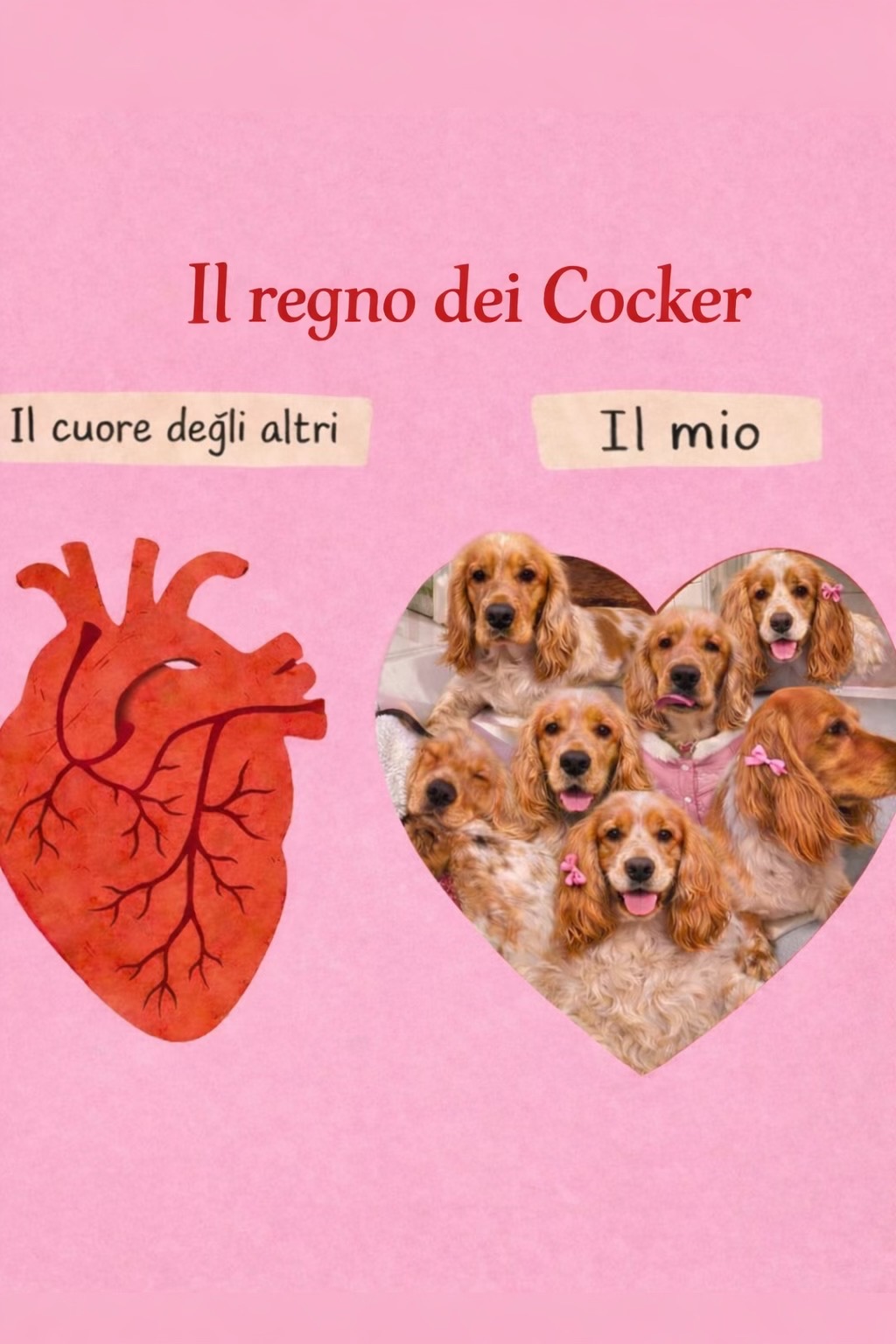 @Roberta Micucci