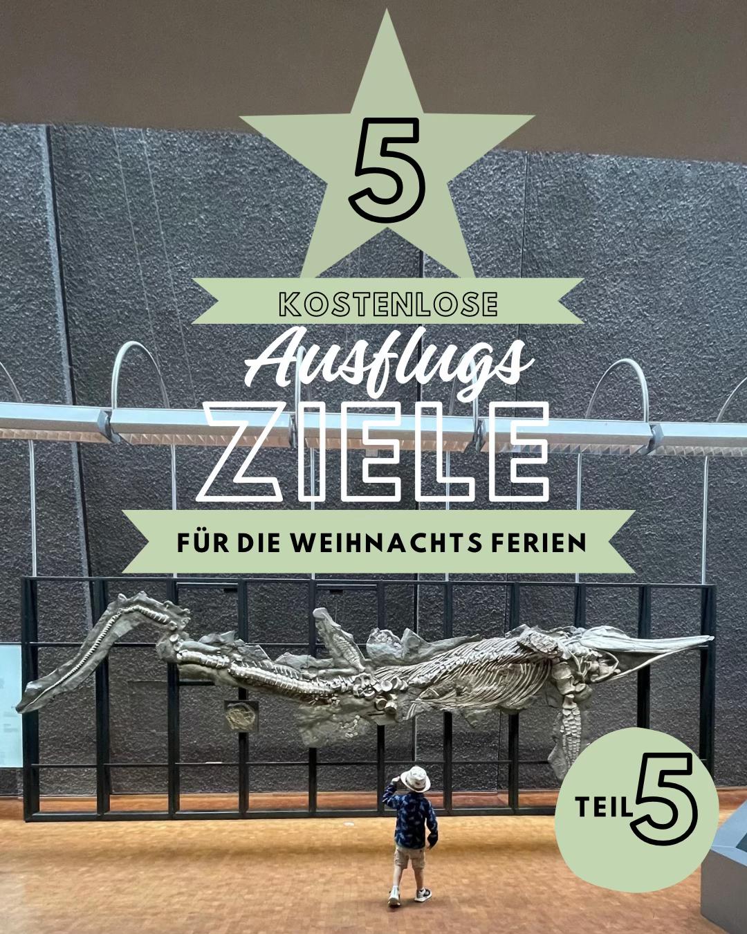 @TREP_unterwegs