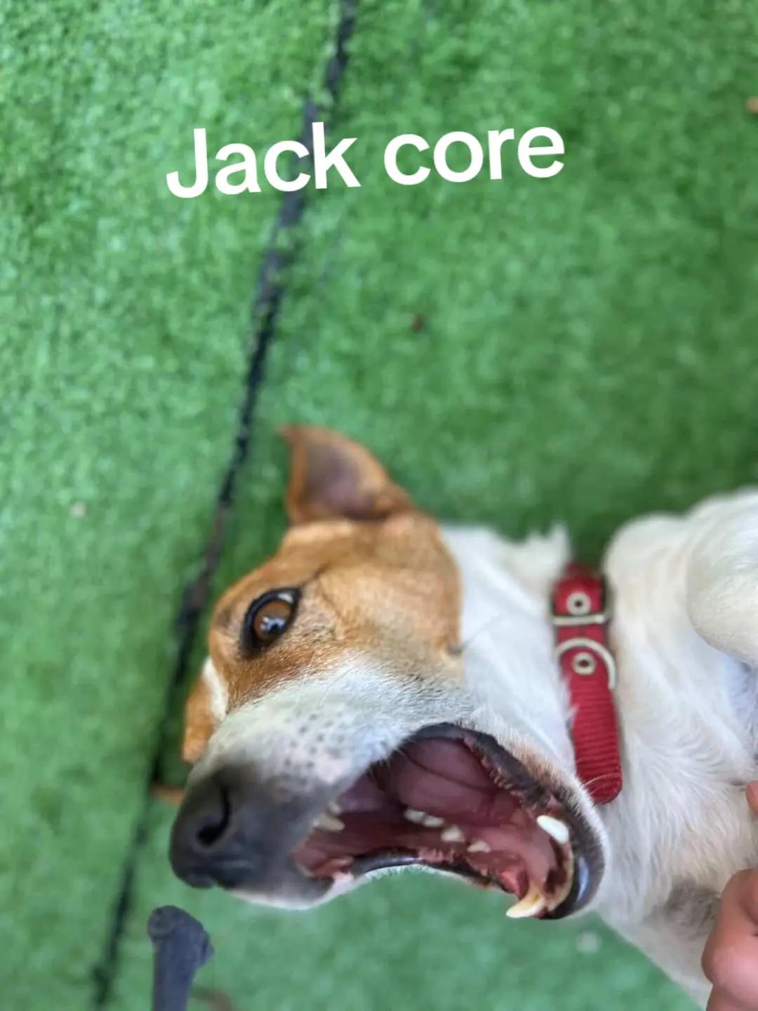 @Nefelii.3.