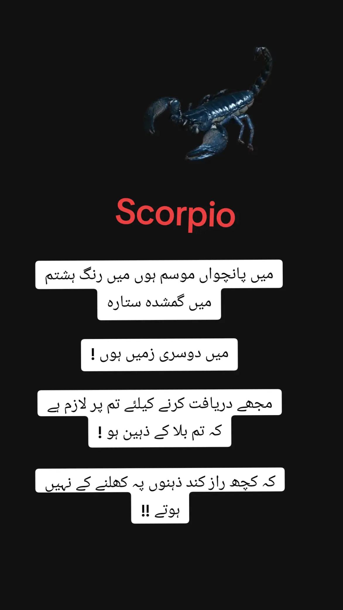 @cosmic connection