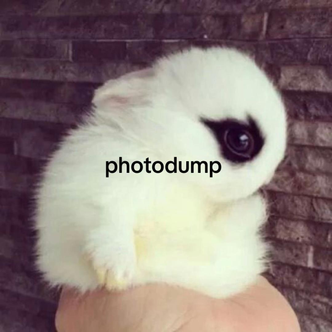 @K☥TT