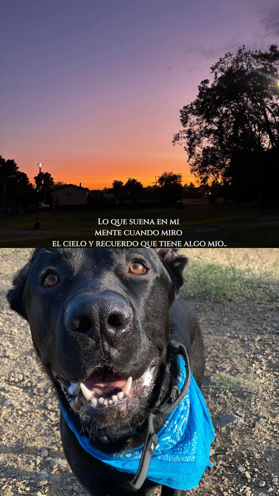 @𝒱𝒶𝓁ℯ☘️