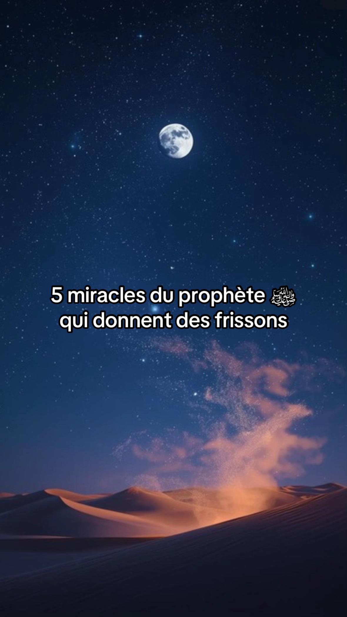 @Chemin de Vérité🕋✨