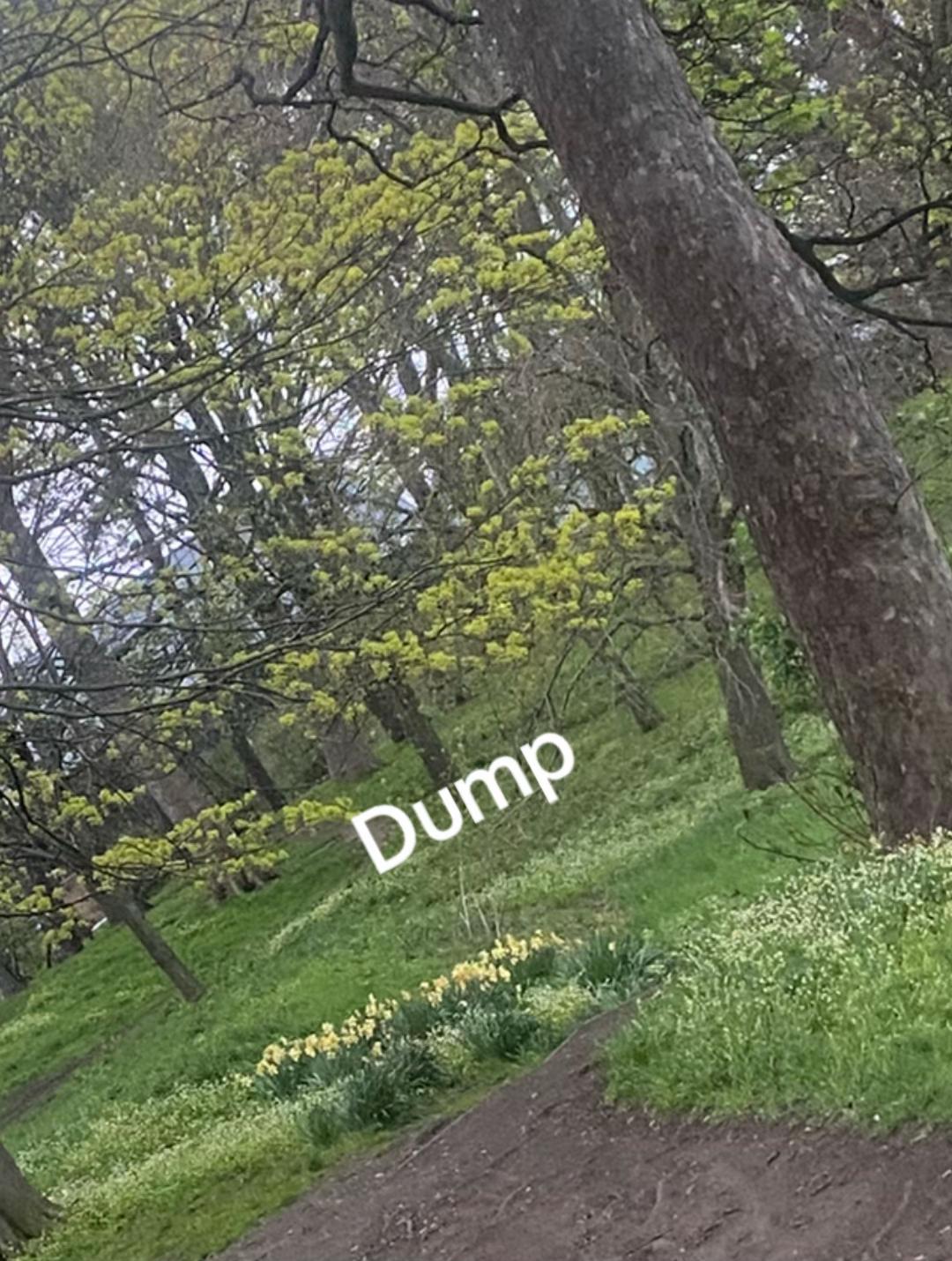 @Itz.omxr
