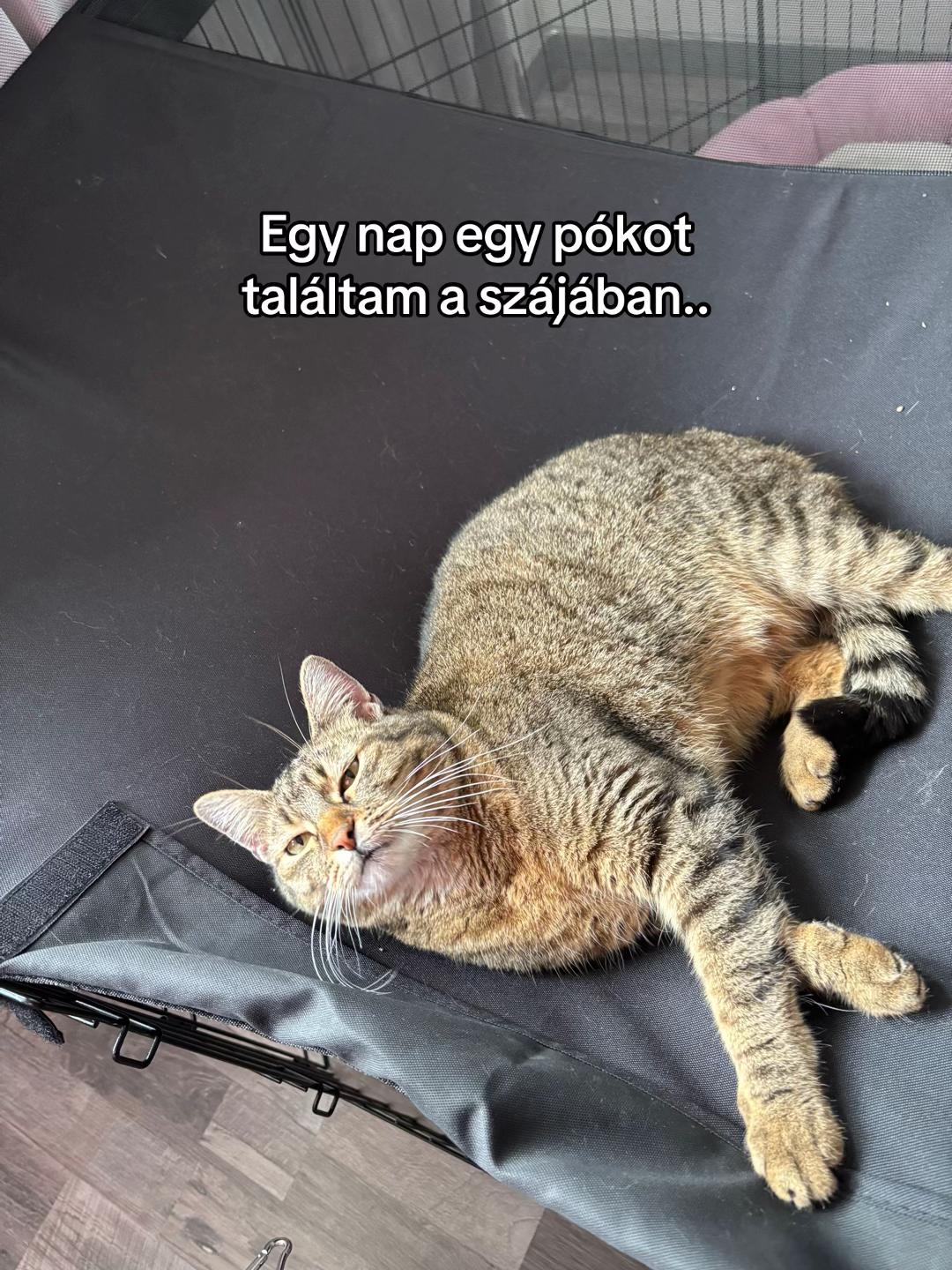 @๐๐๐จ๐ฅ๐ฒ๐ ๐
