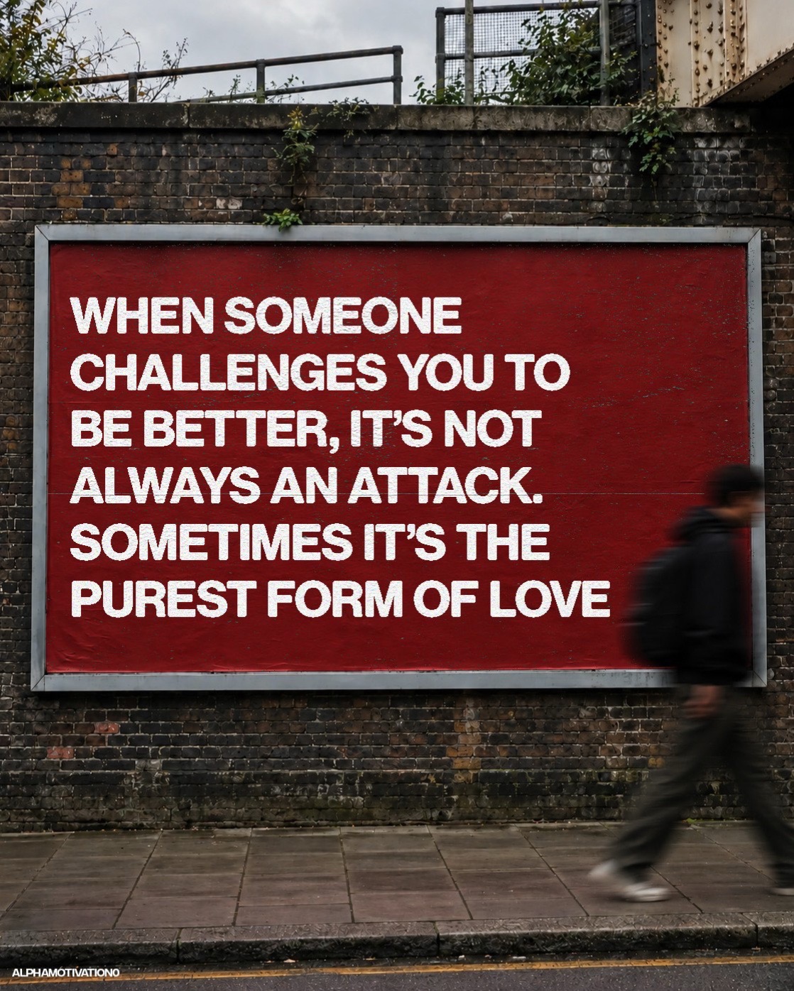 @Alpha Motivation