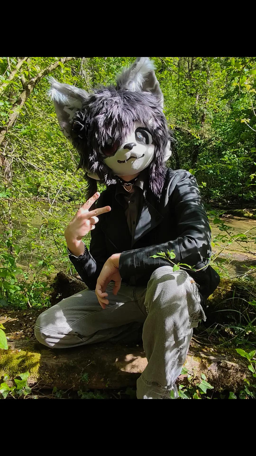@🌸Neiko Fox🌸