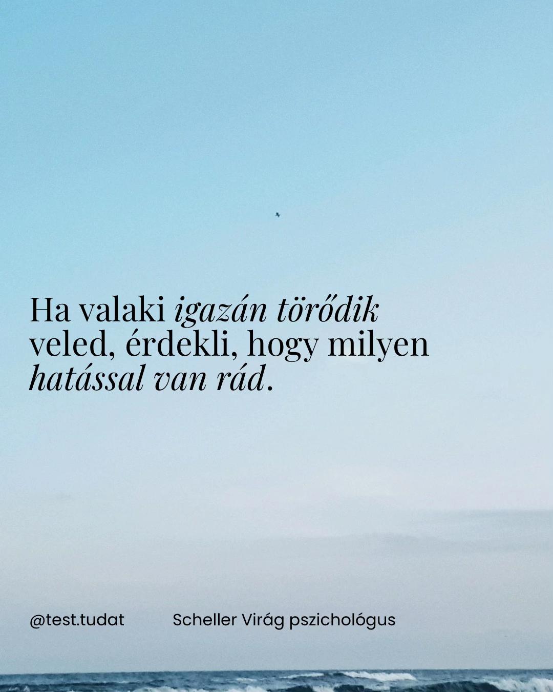 @Scheller Vir&aacute;g | Pszichol&oacute;gus